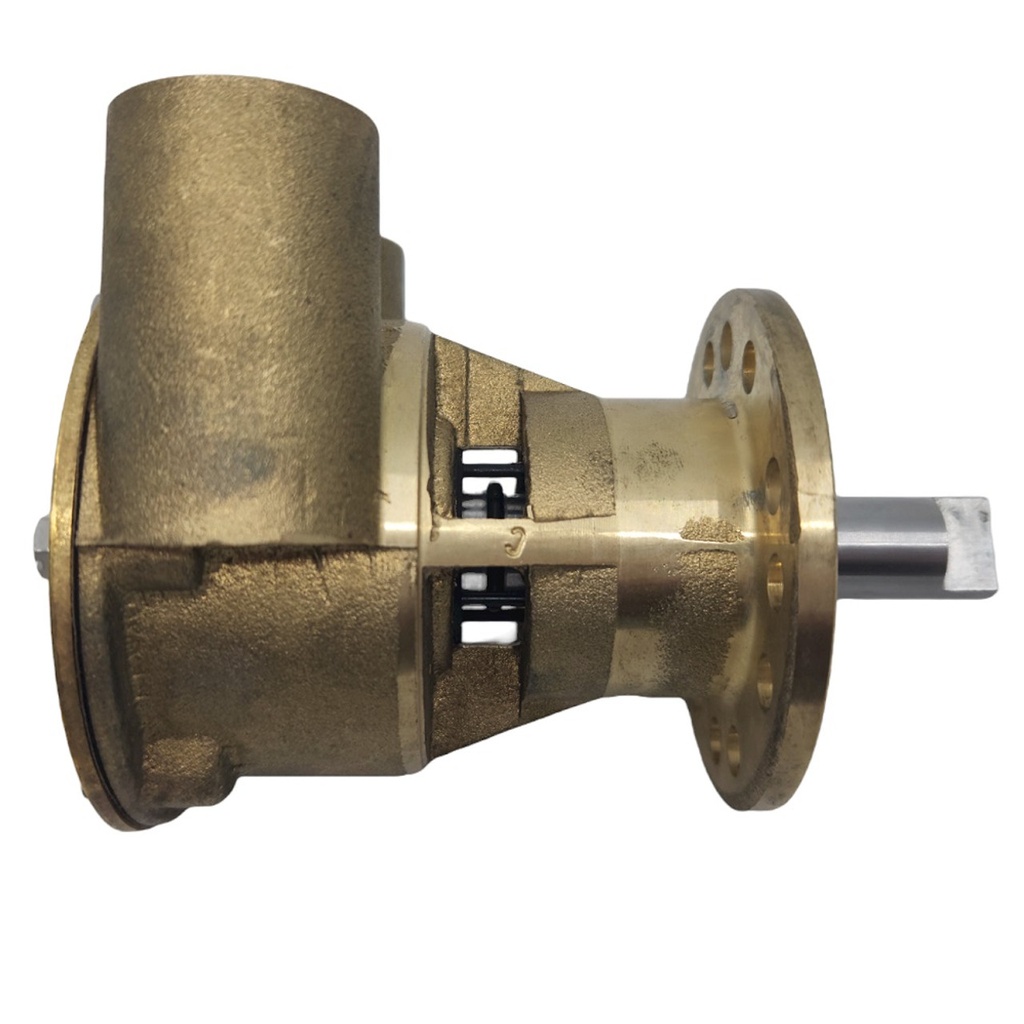 Johnson Pump F5B-9 10-24334-01 Kumisiipipumppu