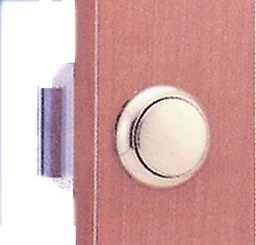 [9516030007] Lukkosalpa kaapin oveen, kiillotettu messinki